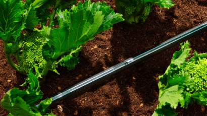 Beneficios del riego por goteo para agricultores ecuatorianos y su impacto en la productividad