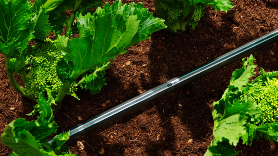 Beneficios del riego por goteo para agricultores ecuatorianos y su impacto en la productividad