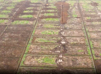 Sequía, lluvias irregulares y productividad: por qué el riego tecnificado ya es parte de la adaptación en Ecuador