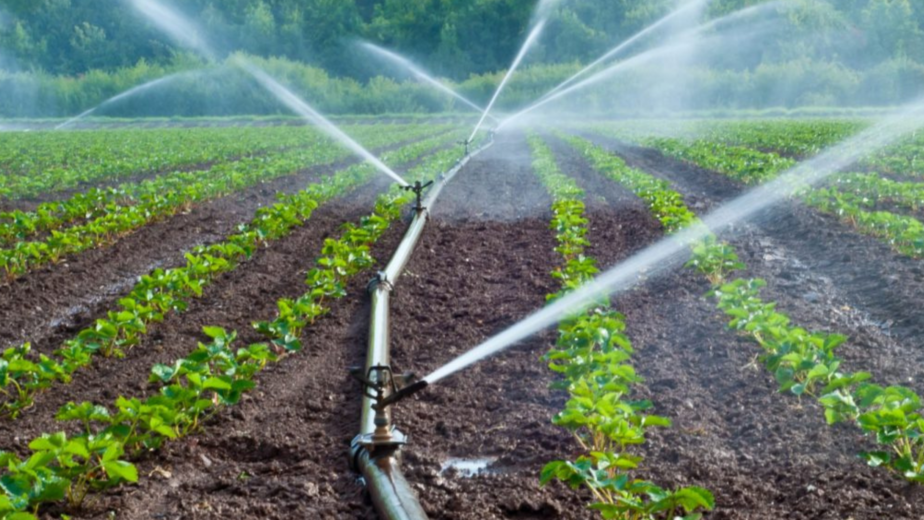 Tecnologías de riego automatizado que están transformando la agricultura en Ecuador