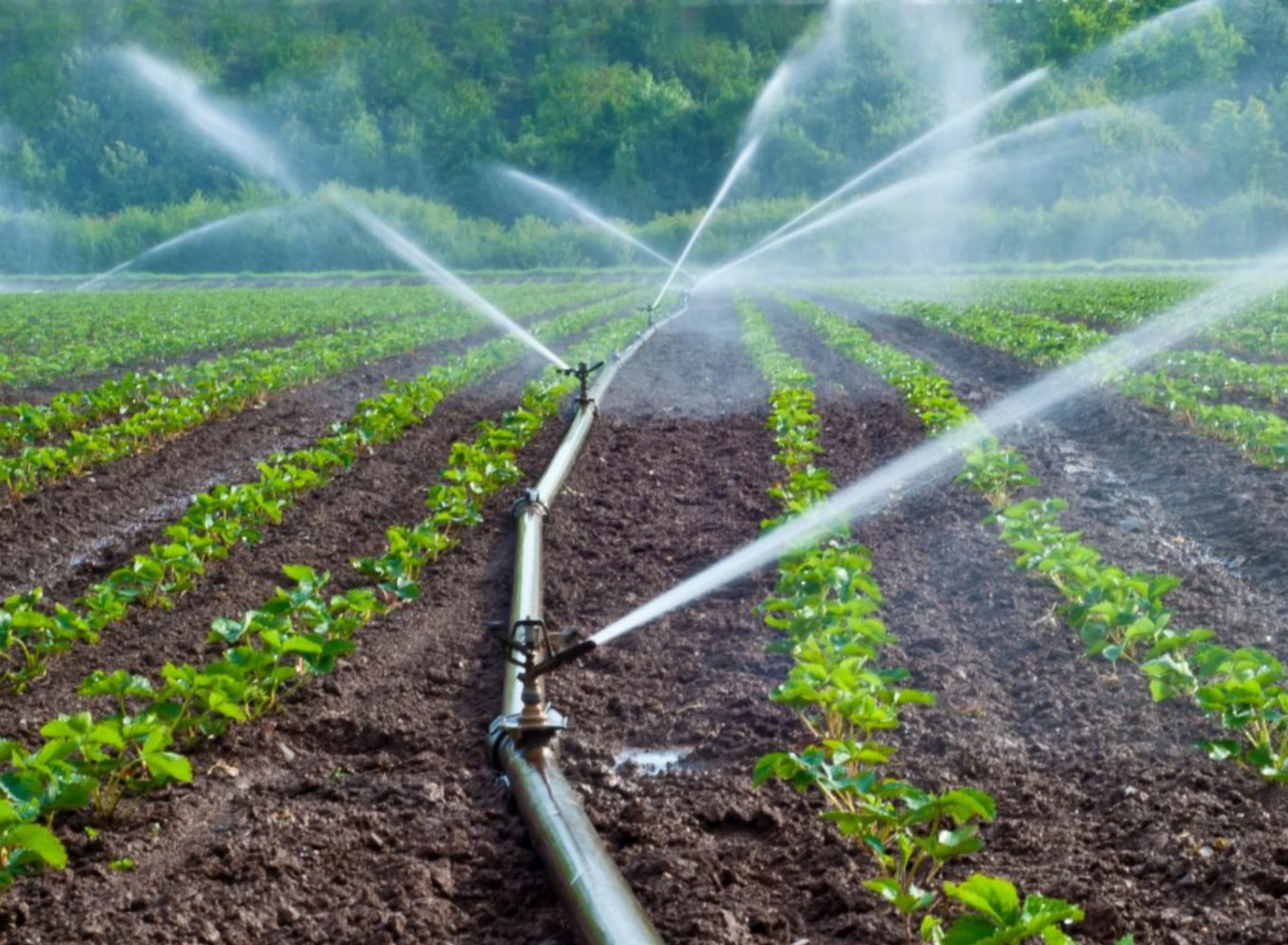 Tecnologías de riego automatizado que están transformando la agricultura en Ecuador