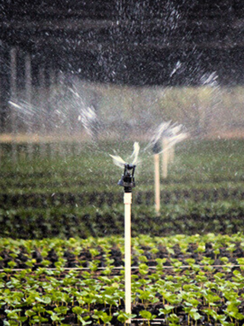 Riego por aspersión en Ecuador: Distribución uniforme del agua para cultivos más saludables.